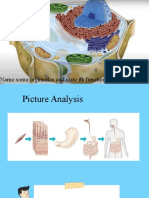 Plant Cell Type and Its Function