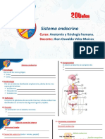 7dd7e21661894263I.E.P.peruanoEspañol Prof - jhonVelezMarcos Sistemaendocrino 2022