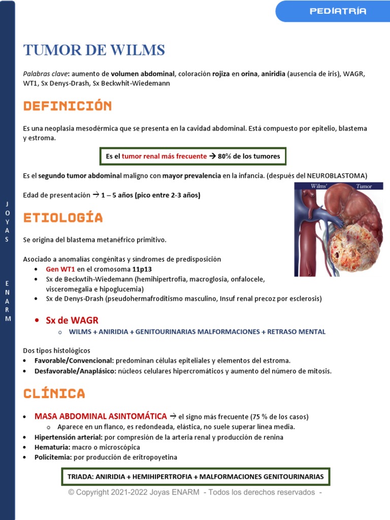Tumor de Wilms | PDF | Enfermedades y trastornos | Medicina