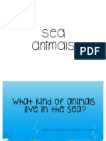 Sea Animals