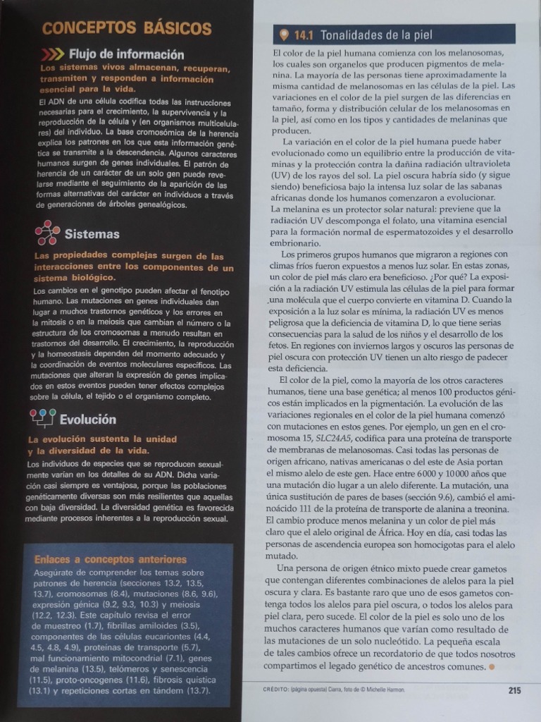 Capítulo 14 - Biología | PDF