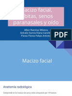 Macizo Facial, Órbitas, Senos Paranasales y Oído