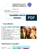 Encefalitis Viral en Terneros