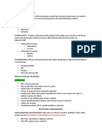 Clasificación de Las Drogas