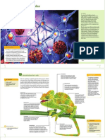 1RA UNIDAD Vida y Biomoleculas