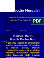 5 - Contracção MuscularX2006 5