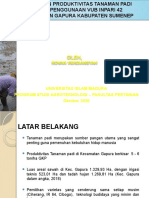 MENINGKATKAN PRODUKTIVITAS PADI