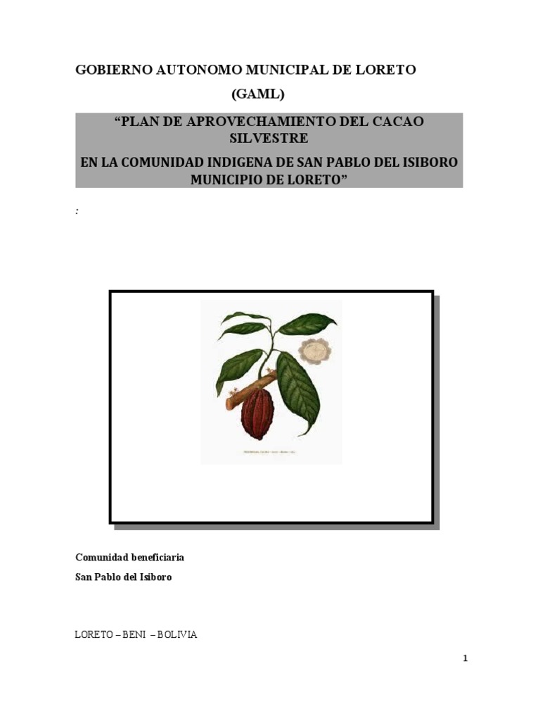 Plan De Manejo De Cacao Parte 1 Pdf Injerto Suelo