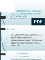 NR 01 - Disposições Gerais E Gerenciamento de Riscos Ocupacionais