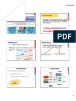 METABOLISMO AULA 2 Editar e Fazer Material Pratico