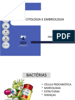 AULACÉLULAPROCARIOTICA