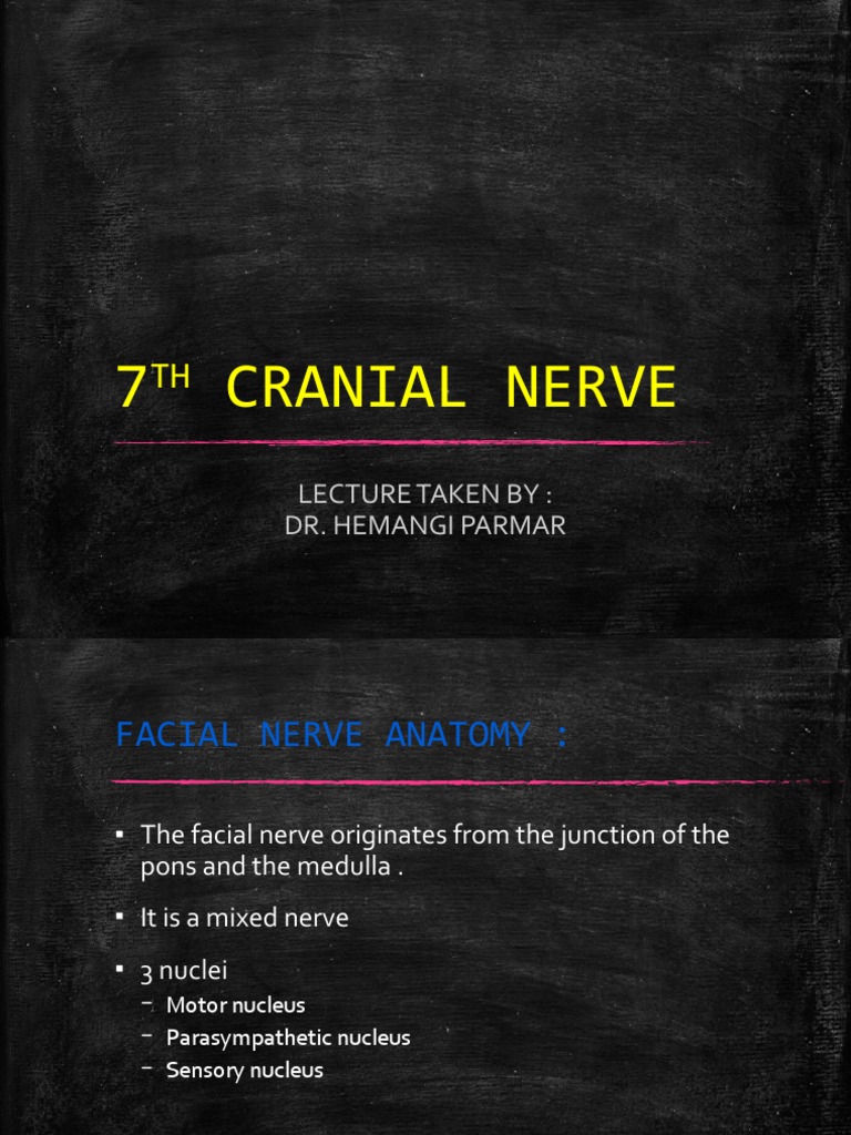 7th Cranial Nerve PDF Medical Specialties Diseases And Disorders