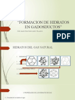 FORMACION DE HIDRATOS EN GADOSDUCTOS FINAL CALCULOS Diapositivas
