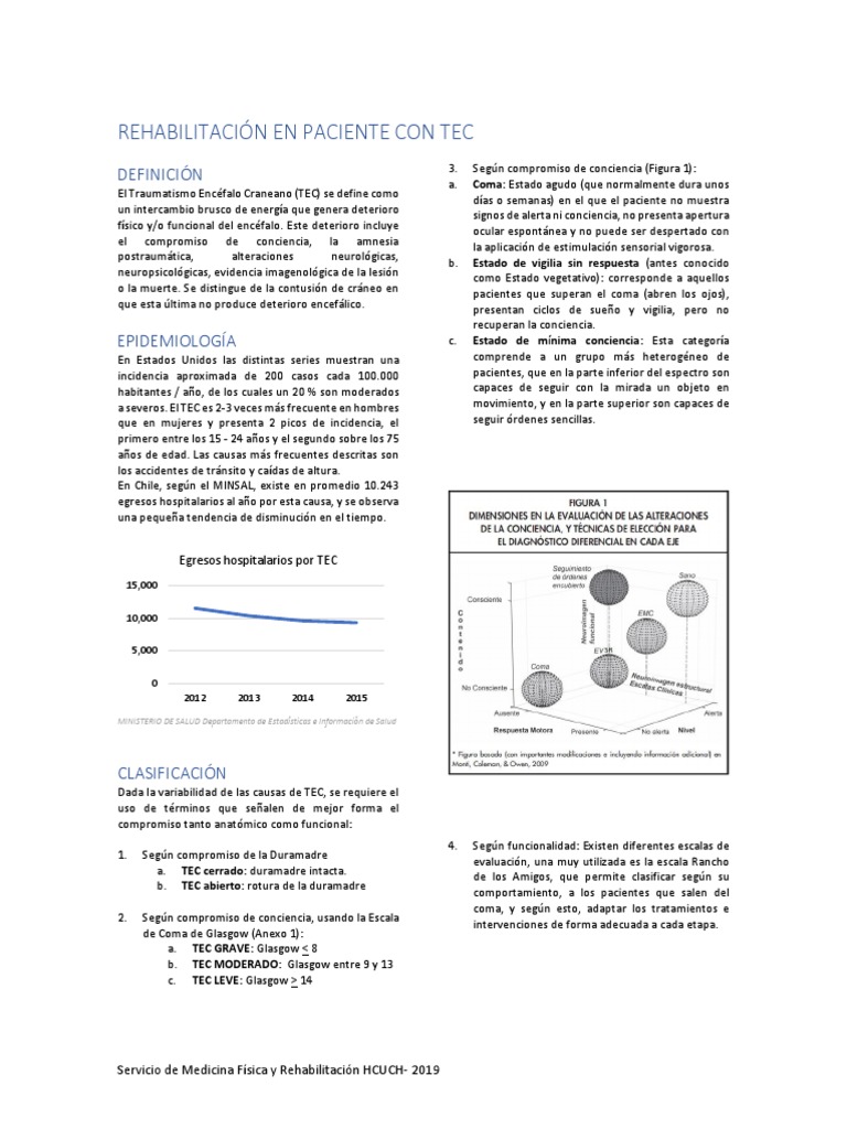 Rehabilitación en Pacientes Con TEC | PDF | Coma | Epilepsia