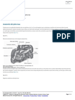 Capítulo 67 - Anatomía y Fisiología Del Páncreas