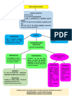 Manejo de Preeclampsia