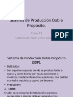 Clase 13. Sistema de Producción Doble Propósito