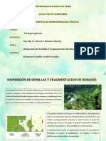 Dispersion de Semillas y Fragmentcion de Bosques