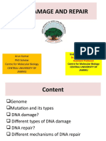 Final Dna Damage and Repair