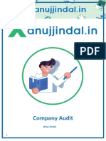 Chapter 7 Company Audit