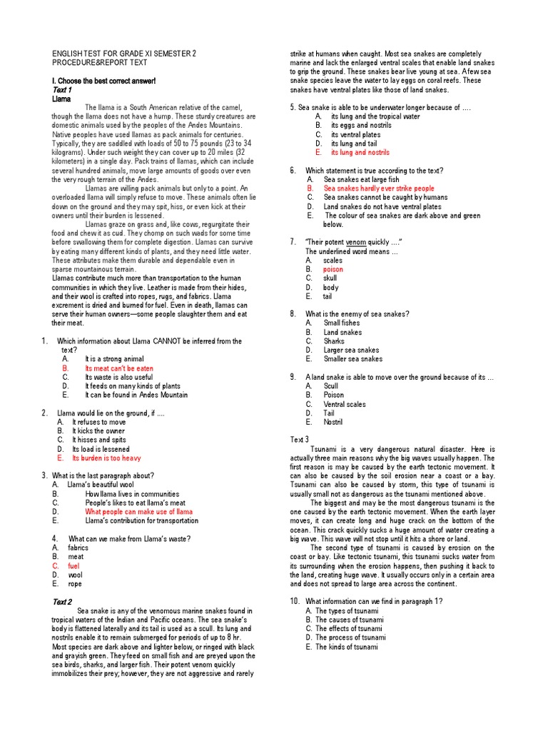 ENGLISH TEST FOR GRADE XI SEMESTER 2 Edit | PDF | Tsunami | Snake