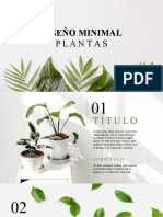 Presentación Minimal Plantas