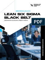 Lean Six Sigma - Black Belt - 15.03