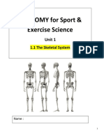 Sport Skeletal System Notes Booklet 452
