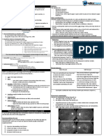 Age-Related Macular Degeneration