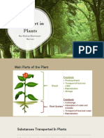 Plant Transport - Transpiration