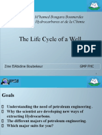 The life cycle of an oil well