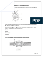 CH-7 - Animal Nutrition - Revsision Sheet-AK