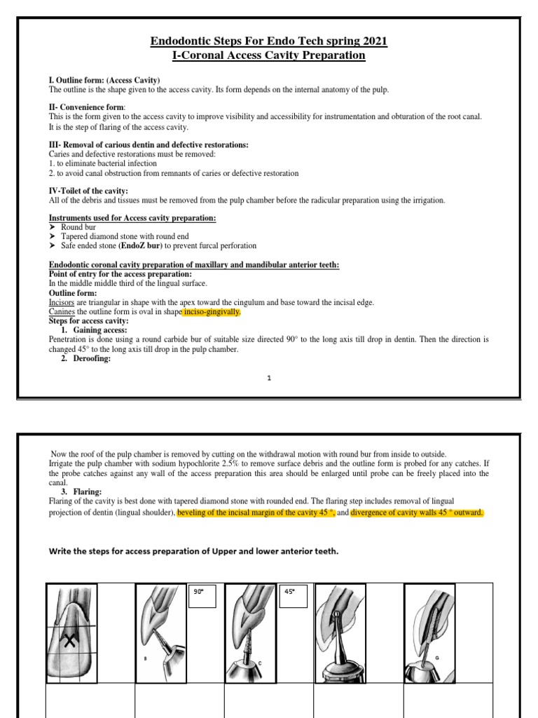 Endodontic Steps For Endo Tech Spring 2021 PDF Health Sciences Mouth