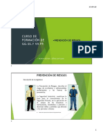 Prevención de Riesgos PDF