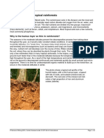 Soil and Humus in Tropical Rainforests