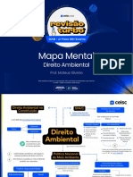 Direito Ambiental - Mapa Mental - RT 36º 