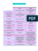 Diferencia Entre Mitosis y Meiosis