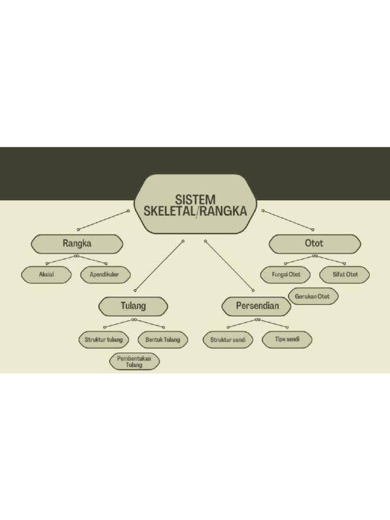 Febrianti Putri Lubis - TBIO2 - Sistem Skeletal | PDF