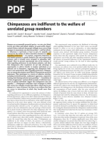 Sweetness and Power | PDF