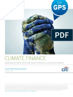 Citi GPS - Climate Finance