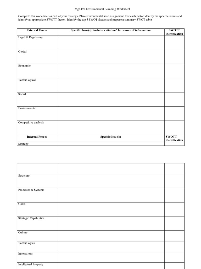 MGT 498 Environmental Scan Worksheet