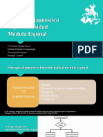 Enfermedades Desmielinizantes Medula Espinal