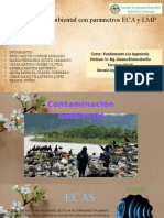 Contaminación Ambiental Con Parámetros ECA y LMP