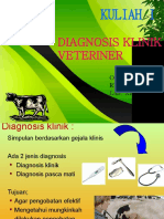 Diagnosa Klinik Vet. I