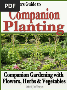 A Beginners Guide To Companion Planting Companion Gardening With
