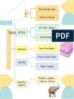 Mapa Conceptual11