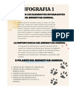 Infografias