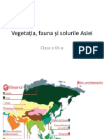 Vegetația, Fauna Și Solurile Asiei