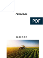 Agricultura