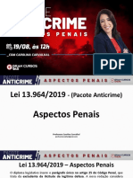 Pacote Anticrime - Penal - Carol Carvalhal